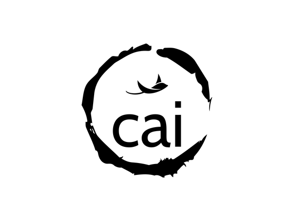 Tienda de Cai